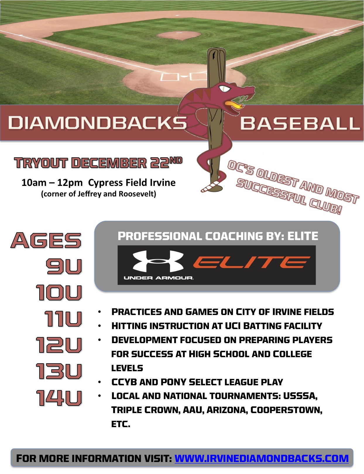 Diamondbacks Tryouts